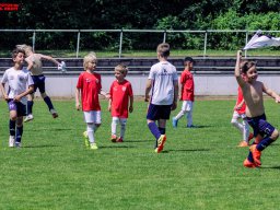 Hillen Cup 2024